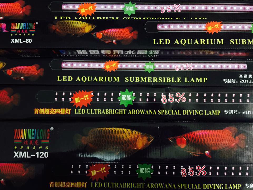 Đèn Led XuanMeiLong – XML 60 - 2 hàng LED phiên bản thủy tinh xịn