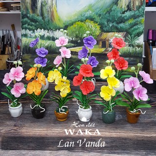 Hoa Đất Sét Mini- Lan Vanda