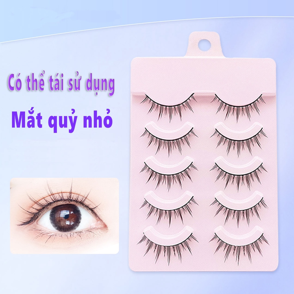 [HCM] Một hộp 5 cặp mi lụa búp bê siêu đẹp Vỏ Hoa Hồng-URBJM-T5