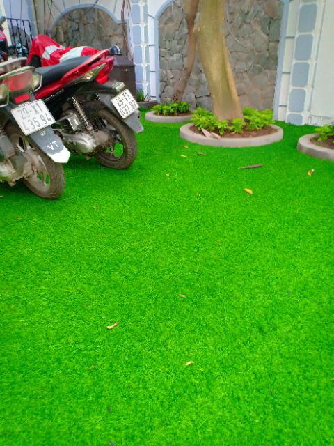2 m² thảm cỏ nhân tạo . Độ cao cỏ 2cm -kt 2m x 1m