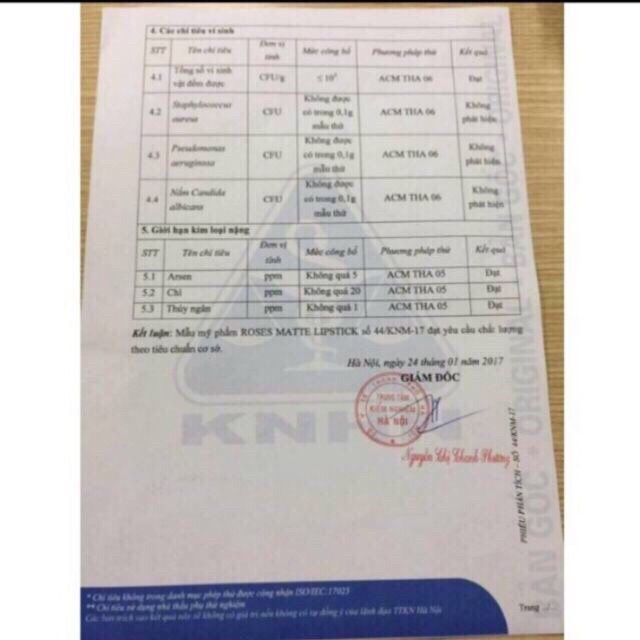 SON ROSES SON LÌ MỚI 2019 _MẪU MỚI FULL MÀU | BigBuy360 - bigbuy360.vn