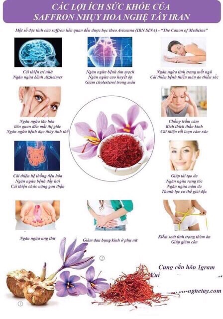 3Gr Nhuỵ Hoa Nghệ Tây ( Loại Super Negin Cao Cấp Nhất)