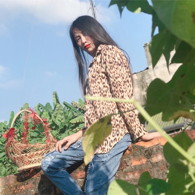 ÁO SƠMI LỤA NHIỀU MẦU HÓT HÍT