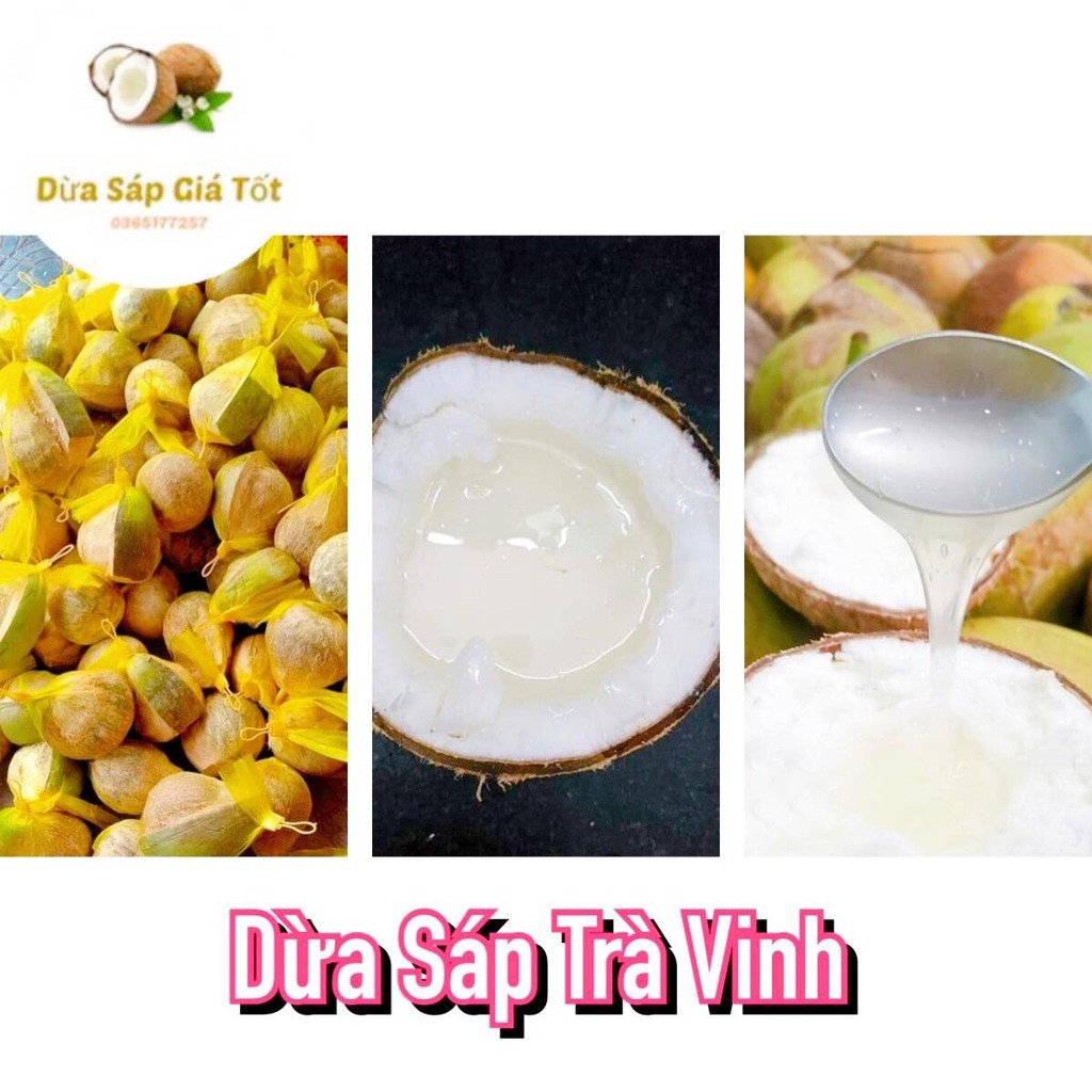Dừa Sáp Trà Vinh 🌴 🌴  - Deal Hot Tháng 9 🔥 🔥