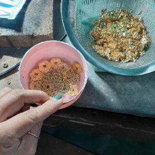 Hoa mai kim tiền Bạc dát vàng