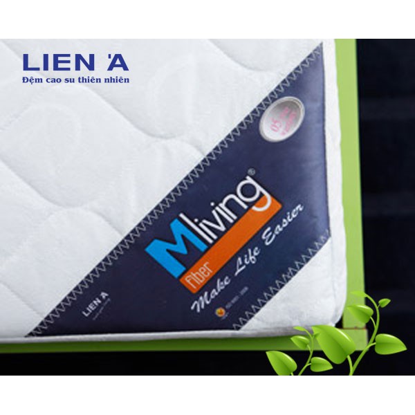 Nệm bông ép Liên Á Mliving Fiber 1M4X2MX10CM