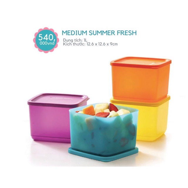 TUPPERWARE - Bộ hộp Medium Summer Fresh 4
