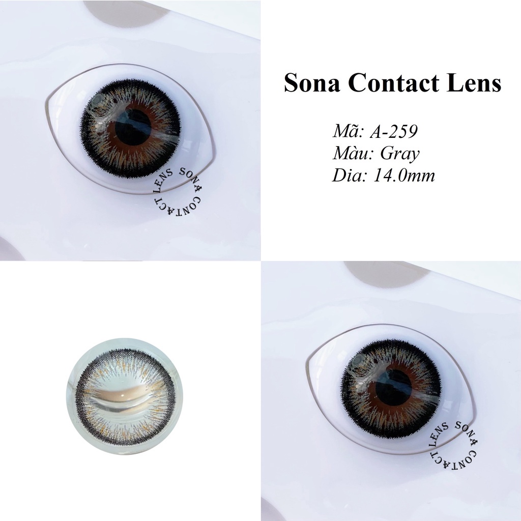 Lens Gray A-259 [EXP 9/2023] (kính áp tròng Sona Hàn Quốc)