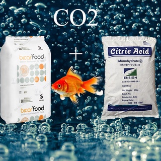 PHÚ NHUẬN-Nguyên liệu chế CO2 cho bể cá (1kg baking soda và 1kg bột chanh axit citric) nhập khẩu giá tốt