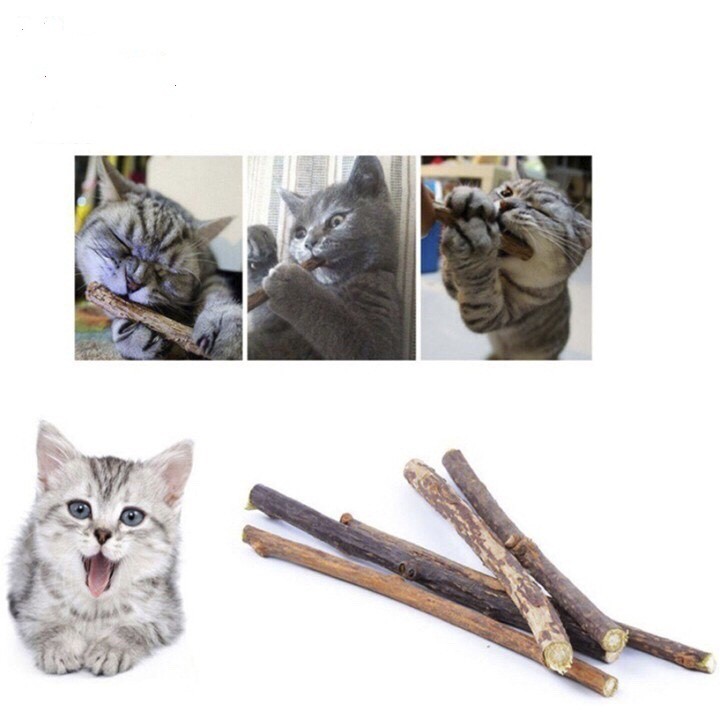 2 Cây Gỗ Catnip Bạc Hà Cho Mèo Gặm Trắng Răng