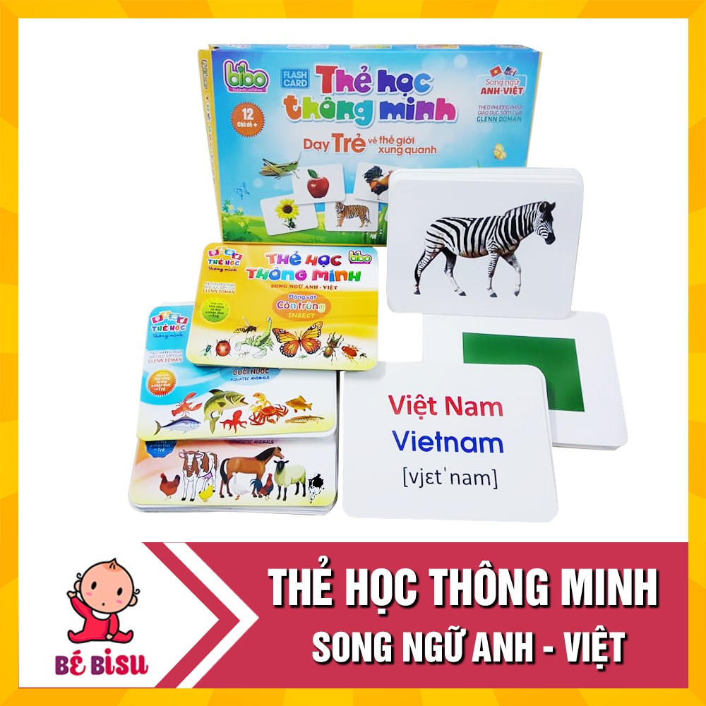 [ Bán buôn/Sỉ] Bộ thẻ học 12 chủ đề loại to cho bé tặng kèm bộ chữ cái và số (270 thẻ)