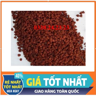 [SẢN PHẨM SẠCH] HẠT MÀU ĐIỀU ĐAK LAK- SẢN PHẨM ORGANIC 200g