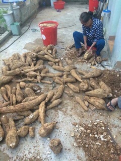 1kg Bột sắn dây ta nguyên chất