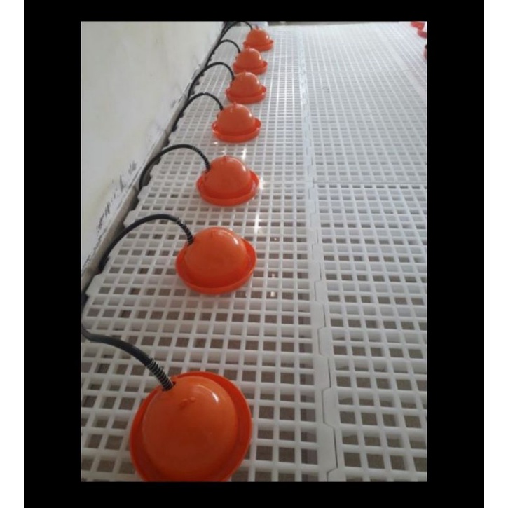 Máng uống cho chim cút - gà con - hàng sịn