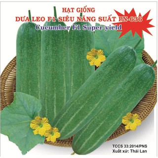 Hạt giống dưa leo f1 siêu năng suất pn-636