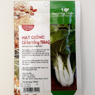 Hạt giống cải bẹ trắng