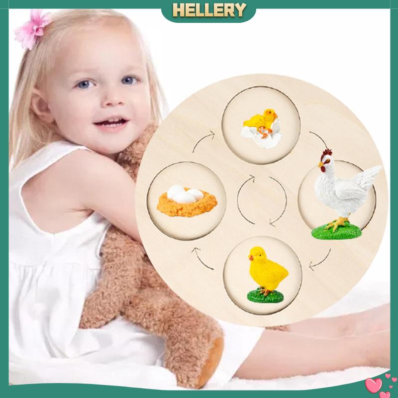 Bảng Mạch Tăng Trưởng Chu Kỳ Montessori Sớm Cho Bé [HelleryVN] #Educational Balo Đi Học Mẫu Giáo Dễ Thương Cho Bé