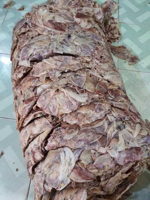 Mực Cà Mau 600g loại 60 con | BigBuy360 - bigbuy360.vn