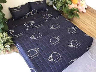 Bộ chăn ga gối poly ( đủ size )