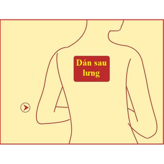 [ Siêu Ấm ] Miếng Dán Giữ Nhiệt Giữ Ấm Cơ Thể - Bihome