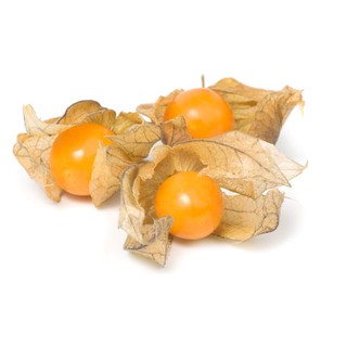 Hạt giống cây anh đào đất(tầm bóp)