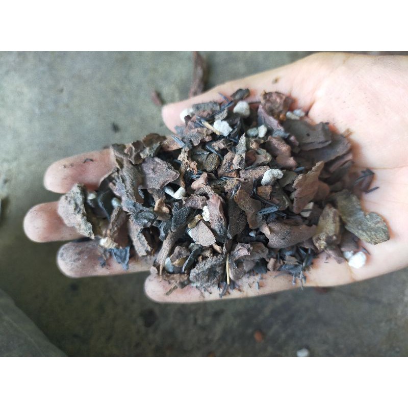 giá thể trồng lan trộn sẳn 1kg
