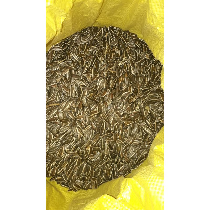 1kg Hạt Hướng Dương Cho Hamster, Chim, Vẹt, Thú Cưng...