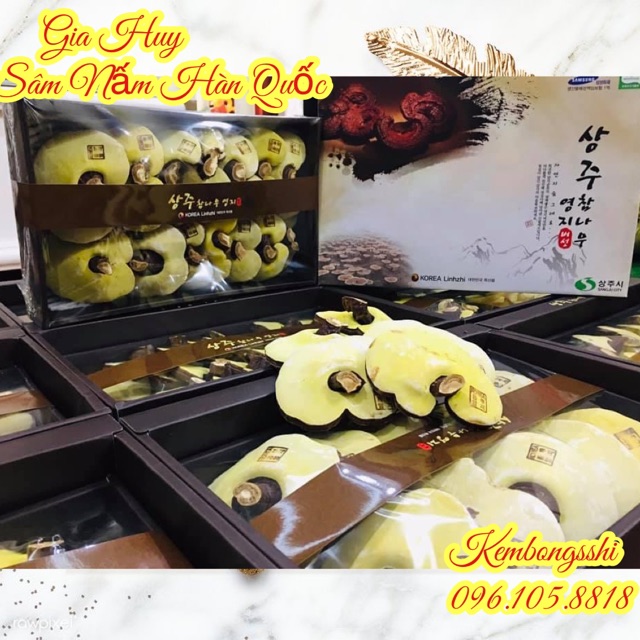 [SỈ TẬN GỐC ] Nấm Linh Chi SANGCHU Hàn Quốc (Hộp 1 kg) Quà siêu sang trọng
