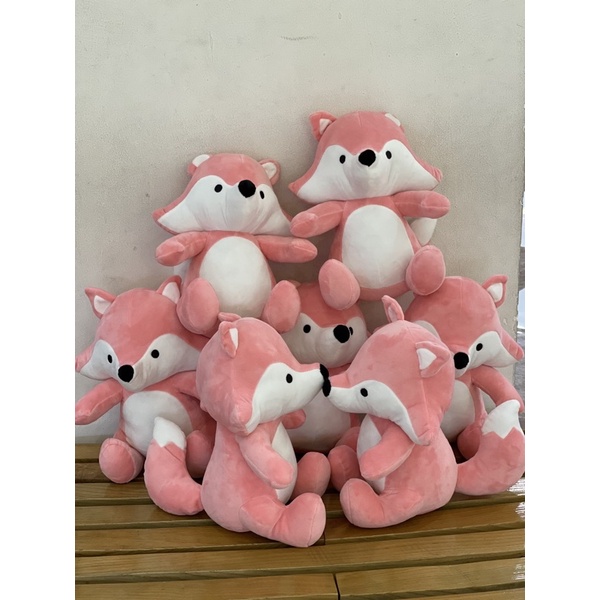 gấu bông cáo