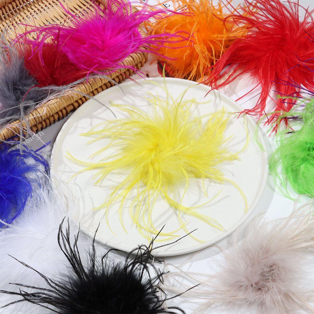 Ghim Cài Áo Hình Lông Vũ Nhiều Màu Sắc Dành Cho Nam Nữ