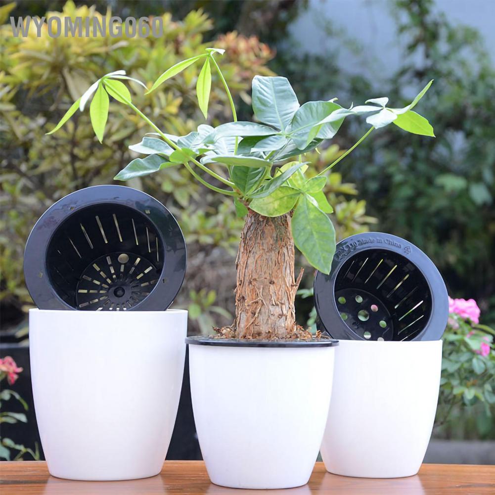 Chậu trồng hoa tròn Tự hấp thụ nước Chậu nhựa PP với giỏ trồng cây Dây bông