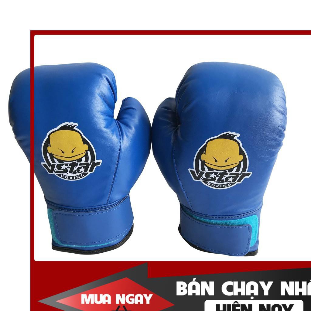 FreeShip  Dụng Cụ Võ Thuật Chính Hãng Găng boxing phong trào giá sỉ 8oz Khuyến Mãi