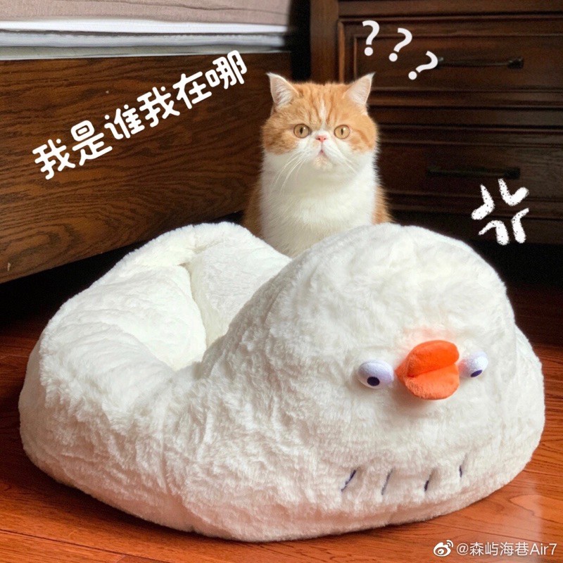 Tổ thú cưng cho mèo và chó dáng vịt ấm cúng - Pidan [CHÍNH HÃNG]