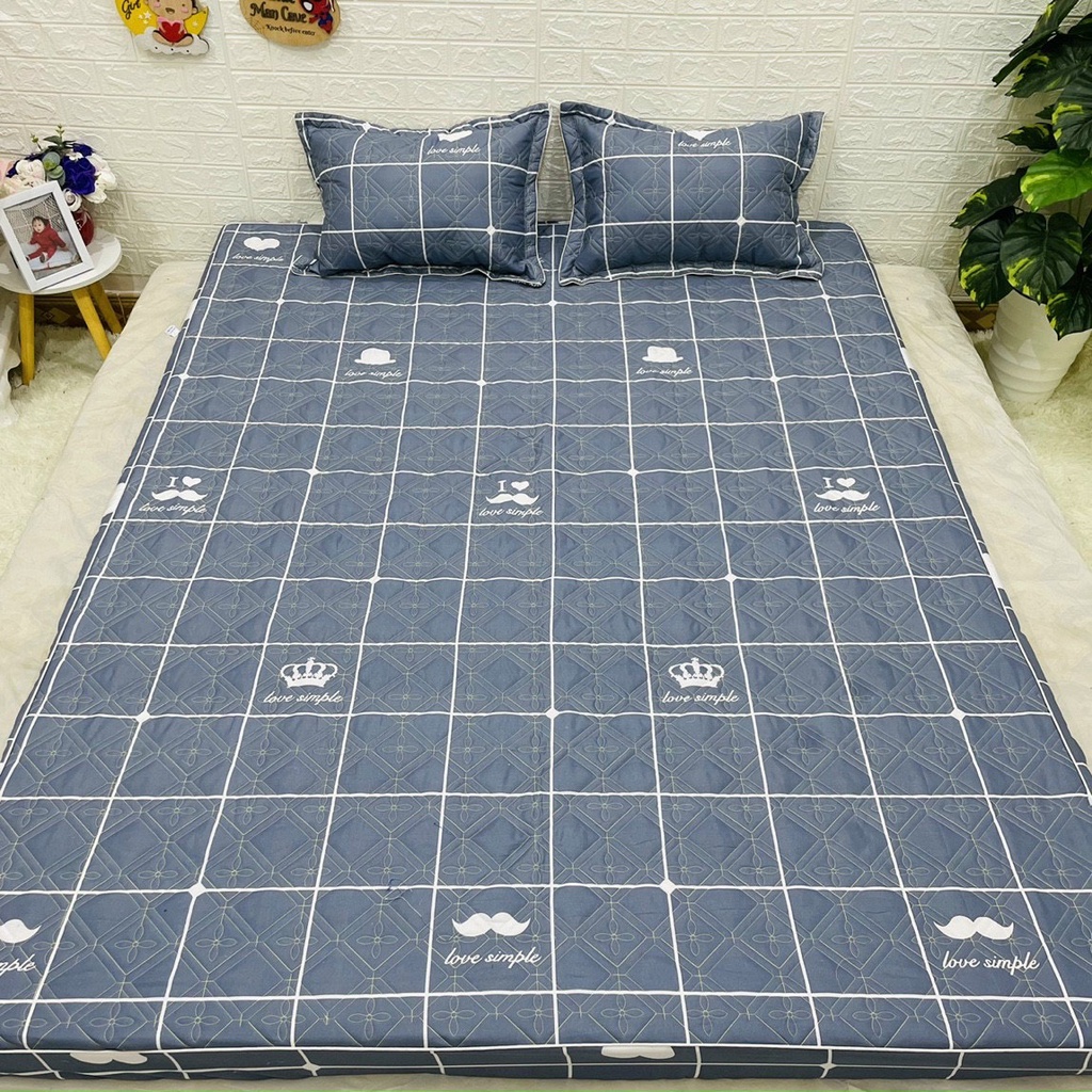 Bộ Ga Gối Poly Cotton Chun Trần Bông Nhiều Kích Thước Chọn Lựa Mẫu KẺ RÂU / CARO VƯƠNG MIỆN