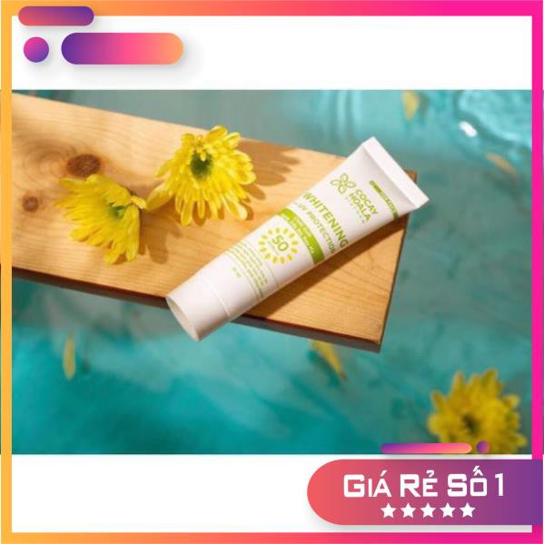 Kem chống nắng chiết xuất nghệ, dầu bơ, rau má cocayhoala 30ml | BigBuy360 - bigbuy360.vn