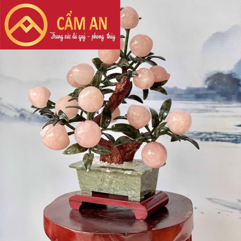 [HÀNG KIỂM ĐỊNH] Cây Đào Tài Lộc Đá TA.Hồng Tự Nhiên 9 - 18 quả