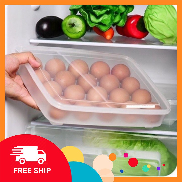 Khay Đựng Trứng Gà,Trứng Vịt Hộp Lưu Trữ Trứng Loại 24 Ô-Việt Nhật Có Nắp Đậy Cất Trong Tủ Lạnh DDGDTM