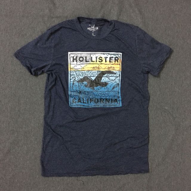 Hollister graphic tee top