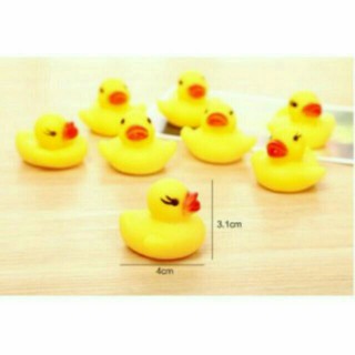 Vịt bóp kêu chít chít