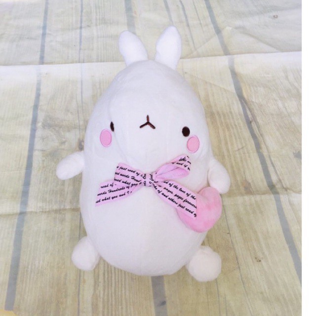 Gấu bông molang size 25-30cm