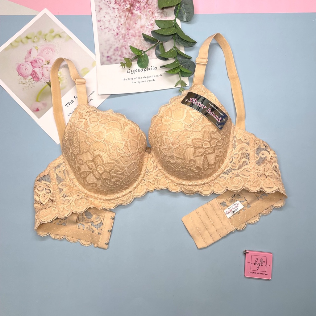 Áo lót ren nữ có gọng nâng ngực , áo ngực đệm mỏng quả to 2465