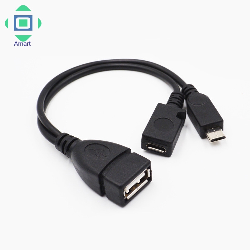 Cáp chuyển đổi từ USB type A female sang 2 cổng Micro USB male và female