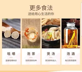 Sâm Tây Dương - Sâm Canada