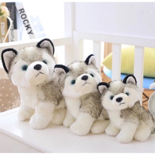 Chó bông husky – gấu bông