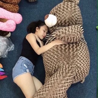 Teddy màu khói mới 2m