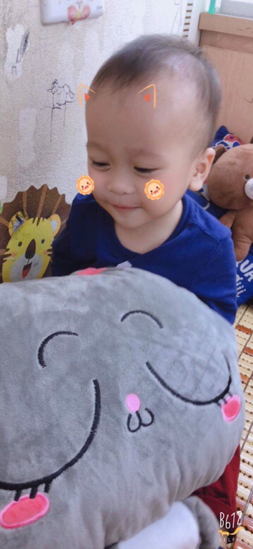 Chăn gối hình thú 3in1