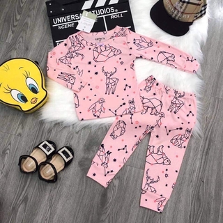 Set 5 bộ thu đông bozip