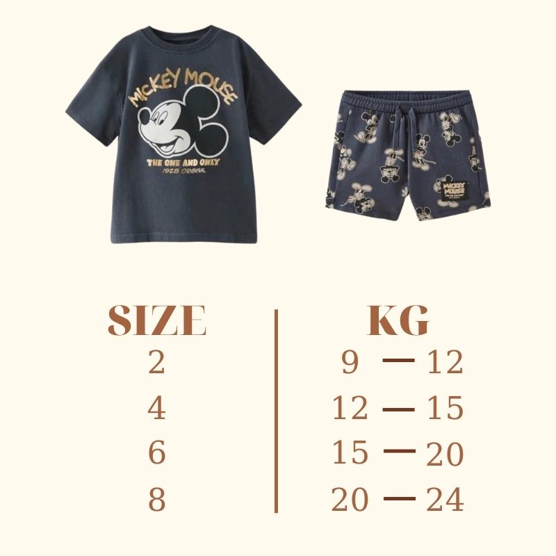 Bộ đồ cho bé trai mùa hè hình chuột MICKEY xám ZARA PAPAZUM