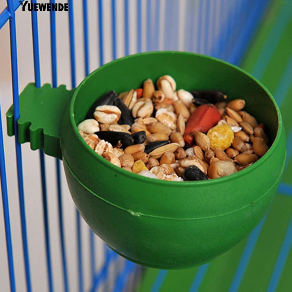 Đế đựng nước cho chim bồ câu