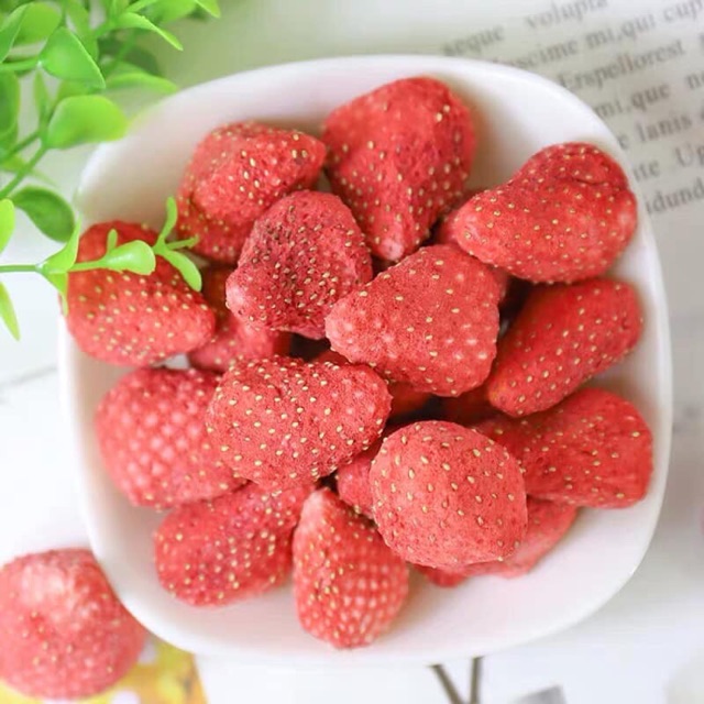 Dâu sấy / sung / sữa chua sấy khô 100gr